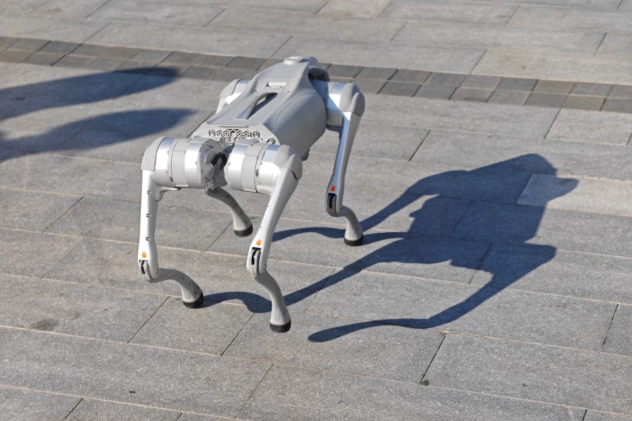 Roboterhunde