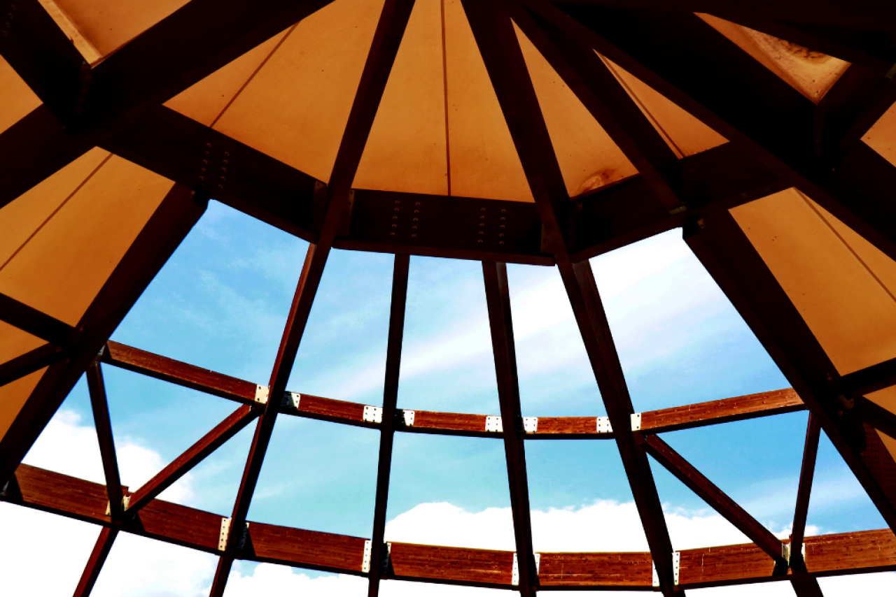 Transparentes Holz
